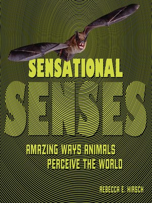 Sensational Senses - ebook